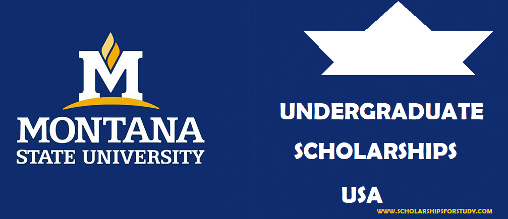 Montana State University Scholarships In USA