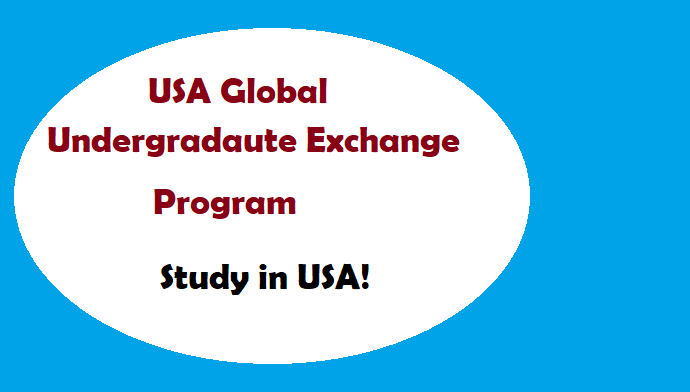 Global Undergraduate Exchange Program In USA